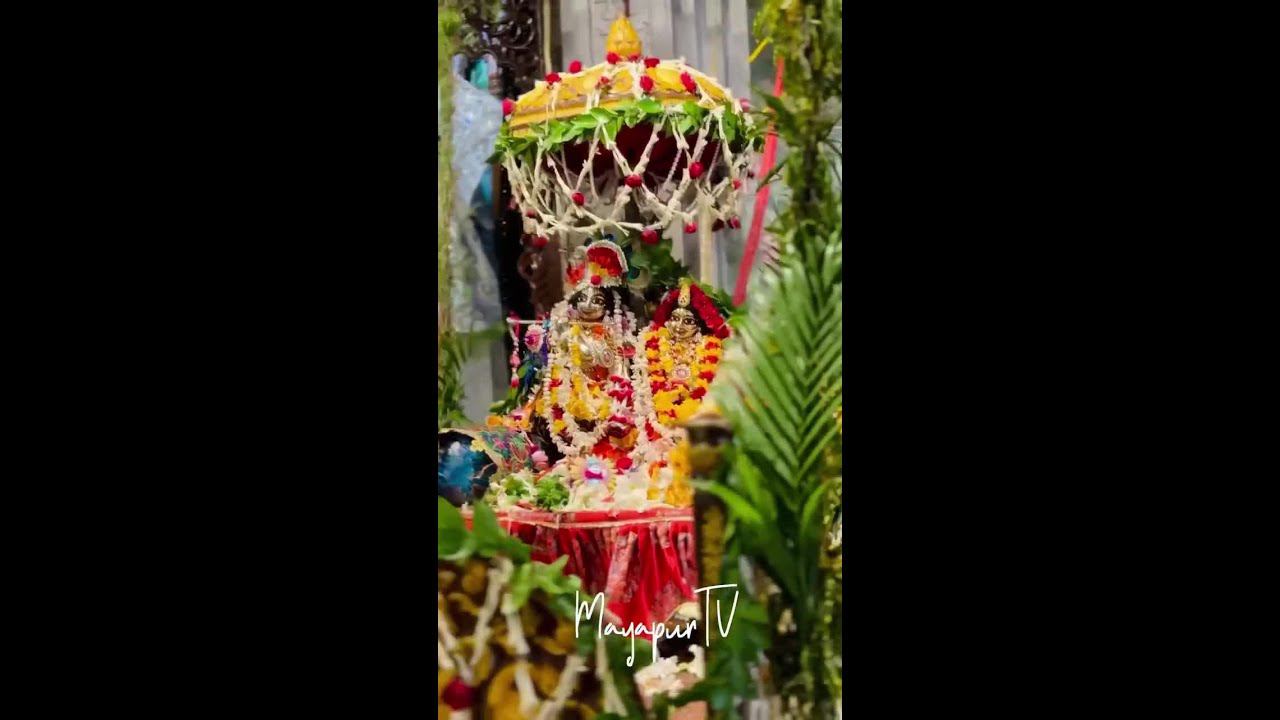 Today's Darshan Aug 19, 2024 Sri Dham Mayapur смотреть онлайн