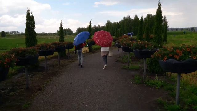 Добропарк часть 1 Украина 12.06.2021 смотреть онлайн