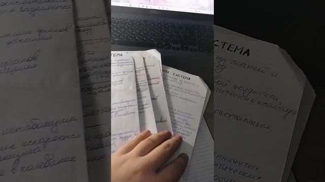 готовлюсь к огэ за 3 месяца✨stady with me смотреть онлайн