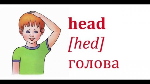 Песня про части тела на английском/  Head, Shoulders ...