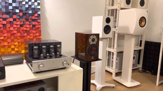 Loa Dali Menuet SE & Amply SVS Wireless pro Sbase ! смотреть онлайн