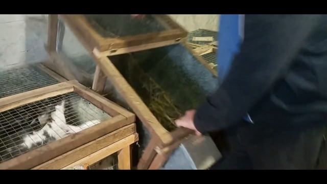 Универсальные клетки для кроликов.