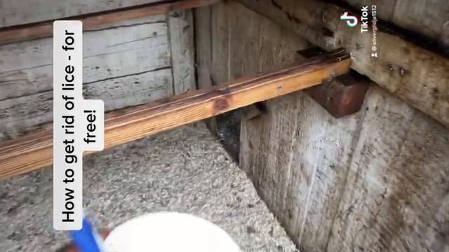 How to get rid of lice - for free! смотреть онлайн