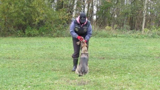 Послушание. Урок 7. смотреть онлайн