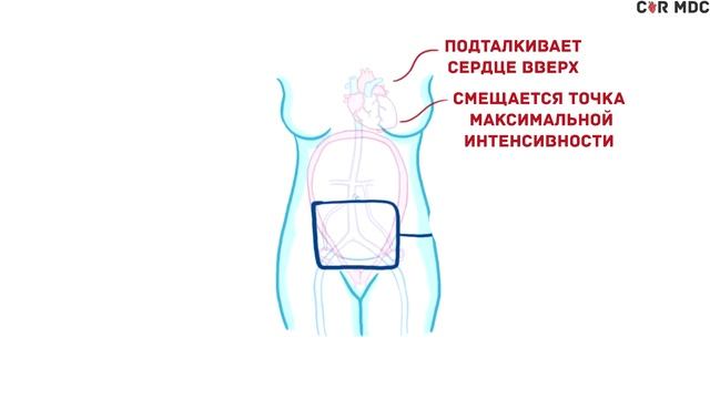 Беременность - физиологические процессы и изменения - кратко смотреть онлайн