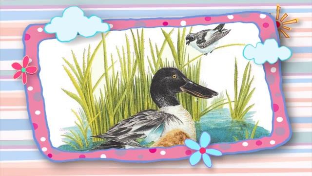 Сказки на ночь 21 августа 2018. смотреть онлайн