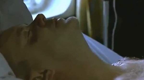 The Secret Life of Words (2006)