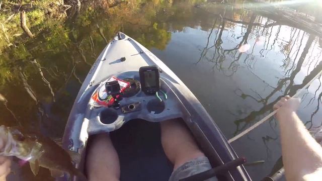 Using the Ugly Stick смотреть онлайн