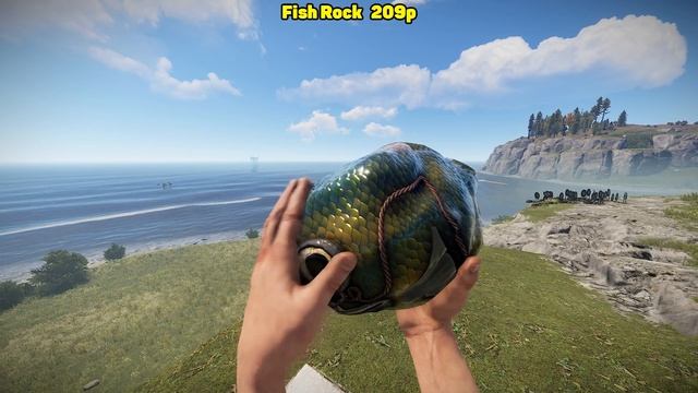 ТОП 10 СКИНОВ НА КАМЕНЬ RUST / TOP 10 SKINS ROCK смотреть онлайн