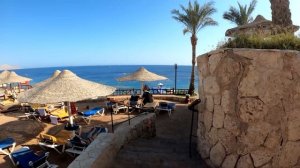 ЕГИПЕТ 2021. ШАРМ ЭЛЬ ШЕЙХ. HILTON SHARKS BAY 4*. ОБЗОР ОТЕЛЯ