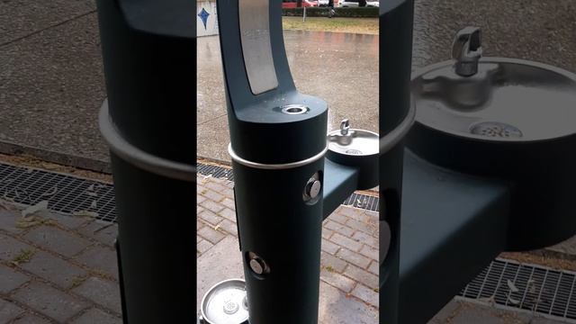 В Риге: Вода бесплатно для людей и собак; Установка 1 крана стоит 10000 EUR смотреть онлайн