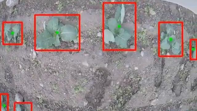 Automatic Crop Detection using HSV Color Space смотреть онлайн