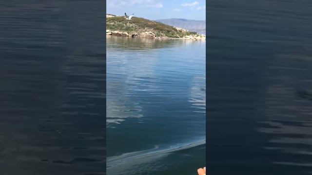 ОСТРОВ ЧАЕК // Удивительная природа Восточного Казахстана смотреть онлайн
