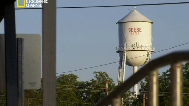 Апокалипсис животных