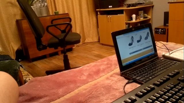 Видео с моего телефона. Котопес, кот, собака смотреть онлайн