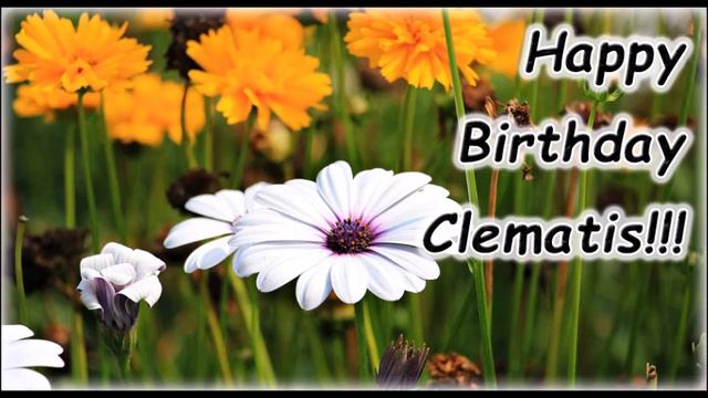 Happy Birthday Clematis! Grüße, Wünsche, Geburtstag