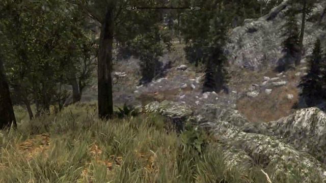 DynDOLOD error/glitch смотреть онлайн