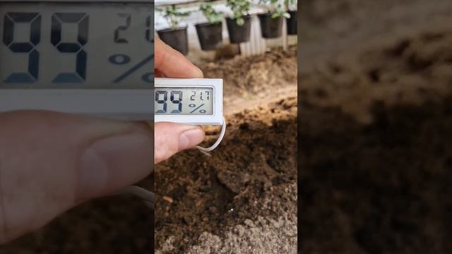 Компост из опилок для улучшения почвы. #садоводство #выращиваниеклубники #теплица #зима #shorts смотреть онлайн