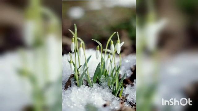 Времена года смотреть онлайн