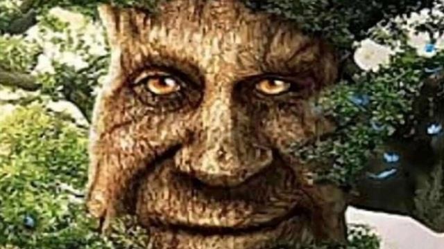 если вам больше 25 лет и у вас есть компьютер, эта игра для вас... смотреть онлайн