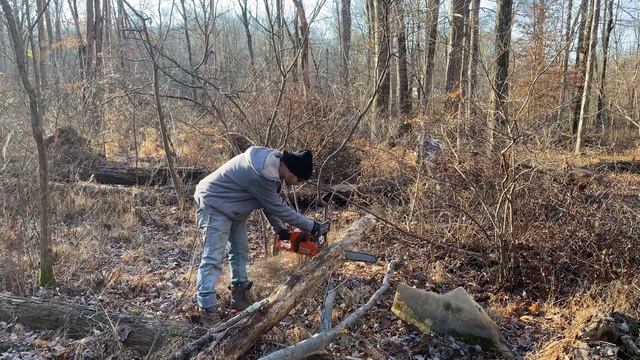 Husqvarna Husky 440 440e Chainsaw Features How to Start & Review vs Stihl MS 261 20” 18” starting смотреть онлайн