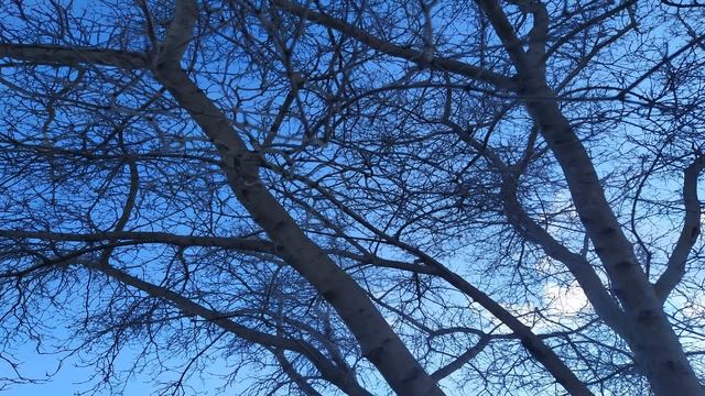 5 апреля-НИКОНОВ ДЕНЬ. Последний шанс наладить жизнь. Необычные приметы и обряды смотреть онлайн