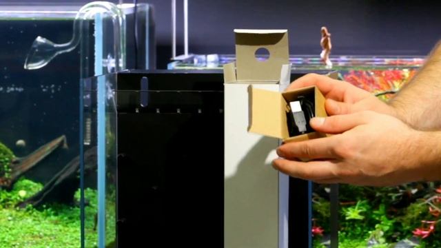 Dooa system Terra 30 unboxing from ADA - palludarium aquascaping смотреть онлайн