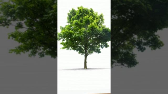 Травмы. Устранение последствий. Часть 2 смотреть онлайн