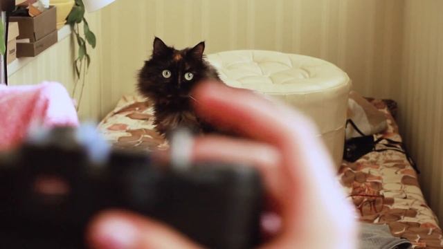 Как снимать на плёнку? смотреть онлайн