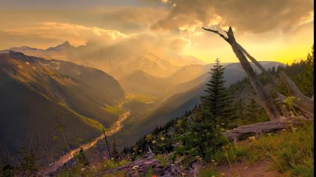 ПИСЬМО К ЖЕНЩИНЕ С. ЕСЕНИН смотреть онлайн