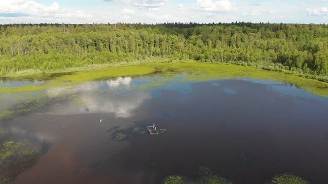 дача болота пролет смотреть онлайн