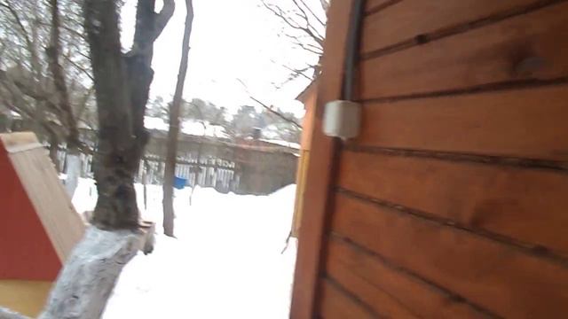 Дача 28 февр 2021 г смотреть онлайн
