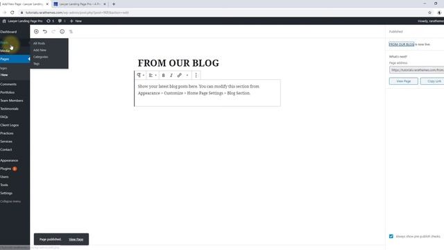 How to configure Blog Section on homepage | Lawyer Landing Page Pro WordPress Theme смотреть онлайн