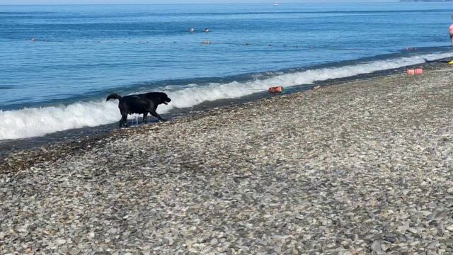 Лазаревское утро 30 сентября смотреть онлайн