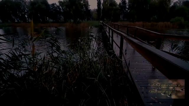 Ночное озеро. Звуки природы Сверчки, лягушки и пение птиц для глубокого сна смотреть онлайн