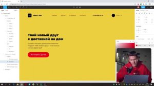 Основы веб-дизайна с нуля. Практика в Figma для начинающих