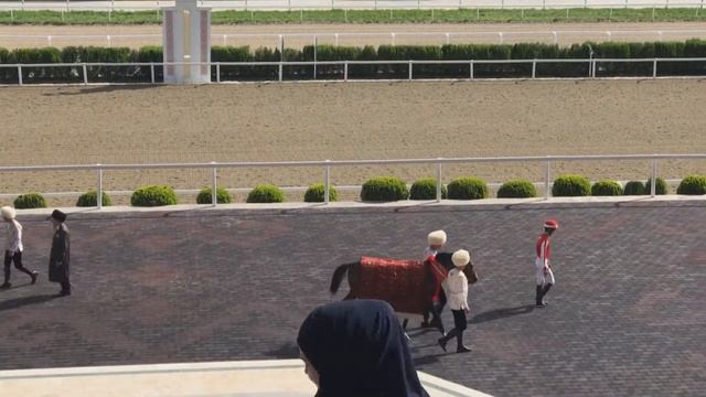 ПРАЗДНИК ТУРКМЕНСКОГО СКАКУНА. The Racehorse Day, Ashgabat, Turkmenistan