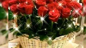 Таваллудет муборак