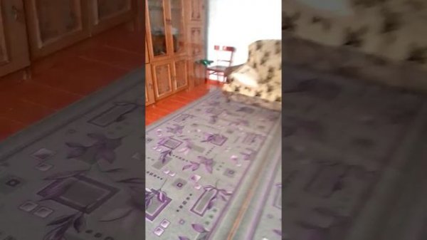 обзор моего квадрокоптера Syma x26 и моего кота!