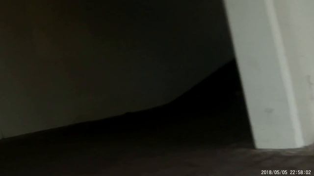 2018-10-31(02/9) Мытищи[Борисовка]-Медведково (ежедневные поездки в будни) смотреть онлайн