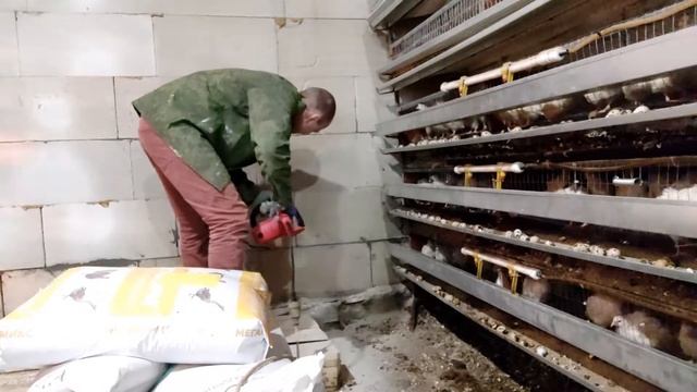 НОВАЯ ВЕНТИЛЯЦИЯ/экоферма 64/вентилятор для фермы/техасский перепел/белый фараон/ecoferma64 смотреть онлайн