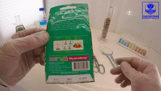 Капуста пекинская  Нежность F1. Евро-Семена