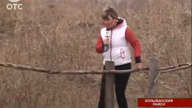 Жители затопленной деревни в Колыванском районе опасаются второй волны паводка смотреть онлайн