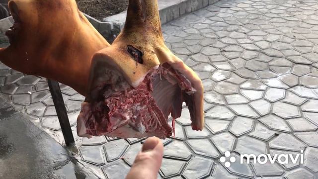 Забой свинки в 6 месяцев и 20 дней// смотреть онлайн