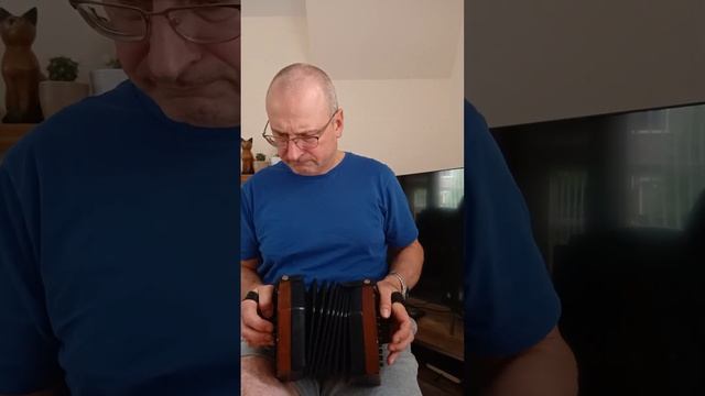 Маруся, раз, два, три калина... Ukrainian folk song played on Hayden duet concertina. смотреть онлайн
