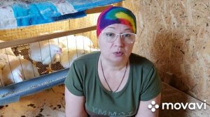 Кормления бройлеров. Как правильно перейти с комбикорма на зерносмесь, со Старта на Рост... Пурина