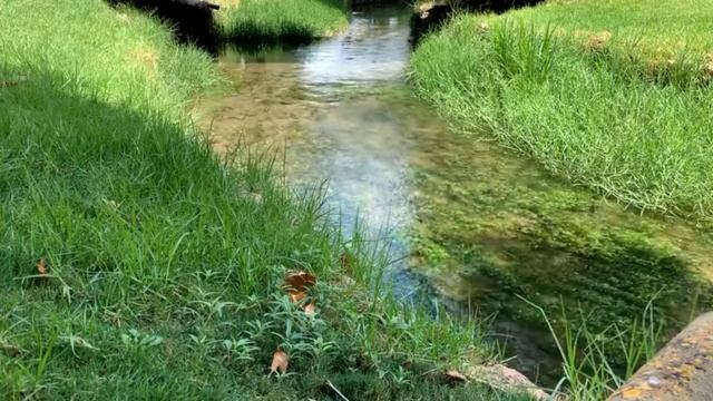 Нежный и крепкий СОН. Глубокий релакс и успокоение нервной системы. #Музыка для сна #Музыка для душ смотреть онлайн