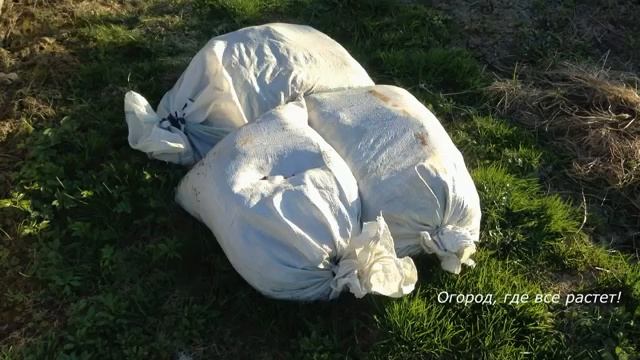 ХРУЩИ. Как бороться с ними.mp4 смотреть онлайн