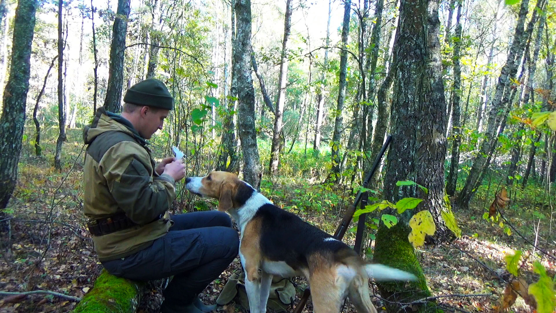 ОХОТА С ГОНЧИМИ ДВА ДНЯ.ОТКРЫТИЕ 2019 смотреть онлайн