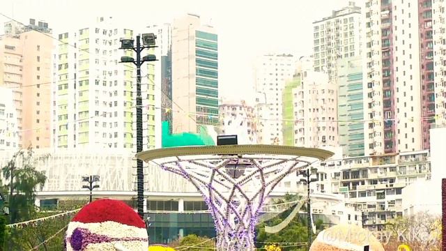 HONGKONG FLOWER SHOW 2019 (YEARLY FLOWER EXHIBIT IN HONGKONG